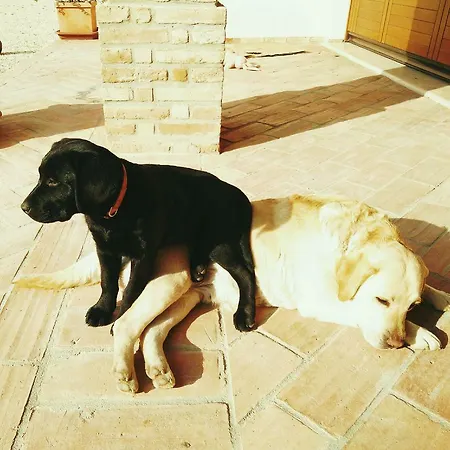 Oda ve Kahvaltı Corte Pomgrana' *