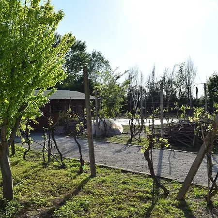 住宿加早餐酒店 Corte Pomgrana'